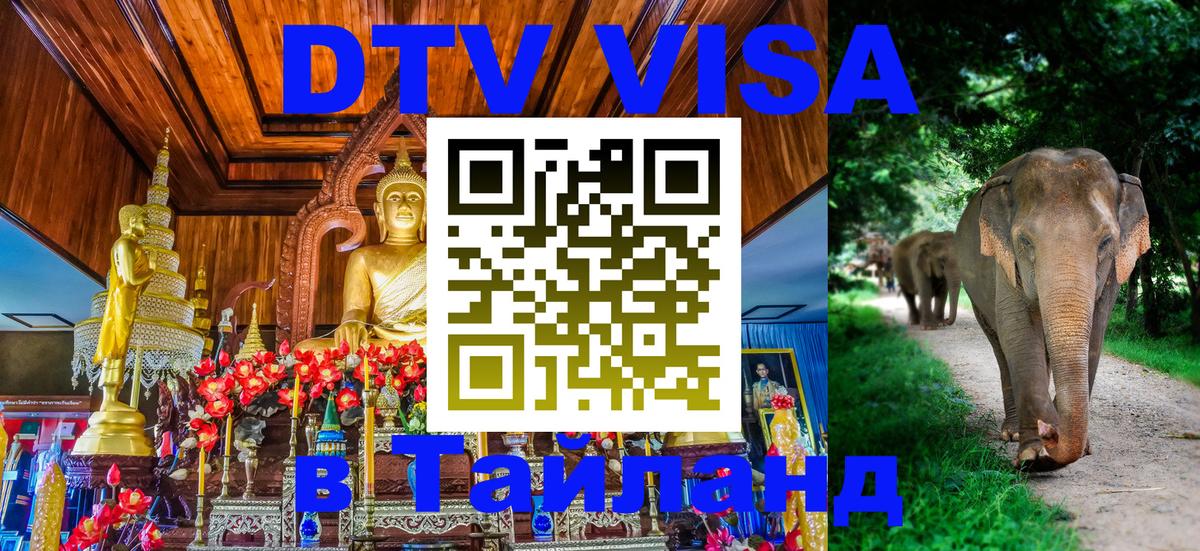 Оформление DTV визы под ключ: стоимость и тарифы, только загранпаспорт - 